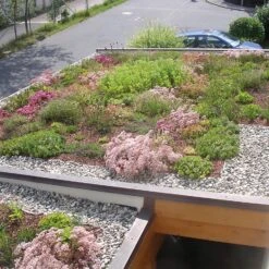 Bauder Gründach-Paket Light 70 Kg Leichtvariante Für 18 M² -Baustoffe Geschäft carport02