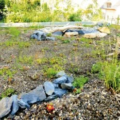 Bauder Gründach-Paket Light 70 Kg Leichtvariante Für 18 M² -Baustoffe Geschäft carport03