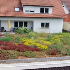 ZinCo Dachbegrünung Garagenpaket Komplett-Set 8 ZinCo Dachbegrünung Garagenpaket Komplett-Set -Baustoffe Geschäft garagenpaket 3 600x600