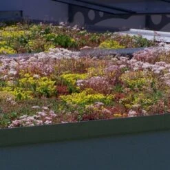 ZinCo Dachbegrünung Garagenpaket Komplett-Set 9 ZinCo Dachbegrünung Garagenpaket Komplett-Set -Baustoffe Geschäft garagenpaket 4 600x600